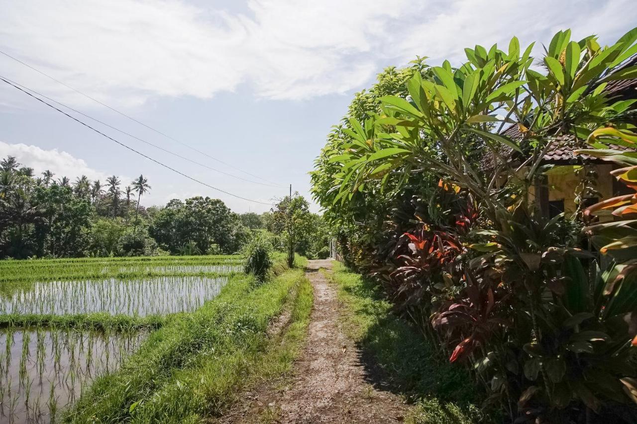 Mejan Home Stay Balian Exterior photo